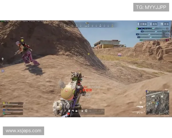 张丽独家揭秘和平精英游戏技巧与心得分享助你成为战场高手