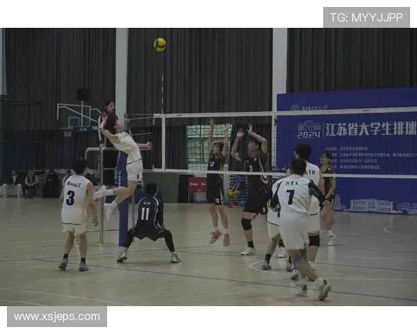 成都排球队的奋斗与荣耀：一段不平凡的排球纪实之旅