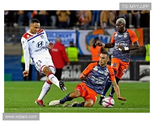 成都飞盘队在城市马拉松积分榜上以52分稳居首位引领群雄